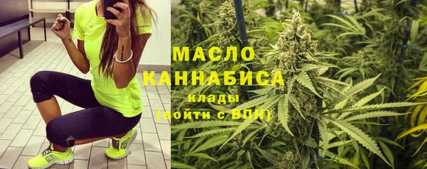 хмурый Абаза